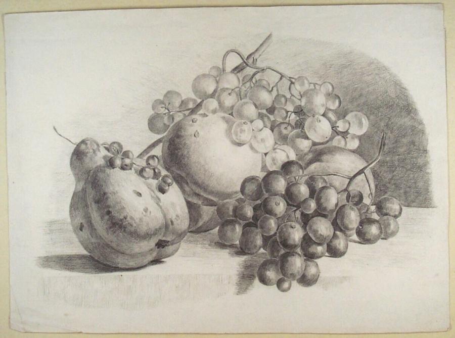 Fruitstilleven