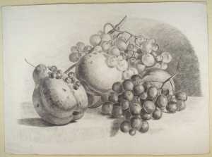 fruitstilleven