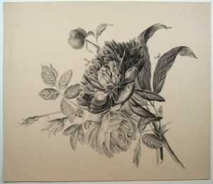 bloemstilleven