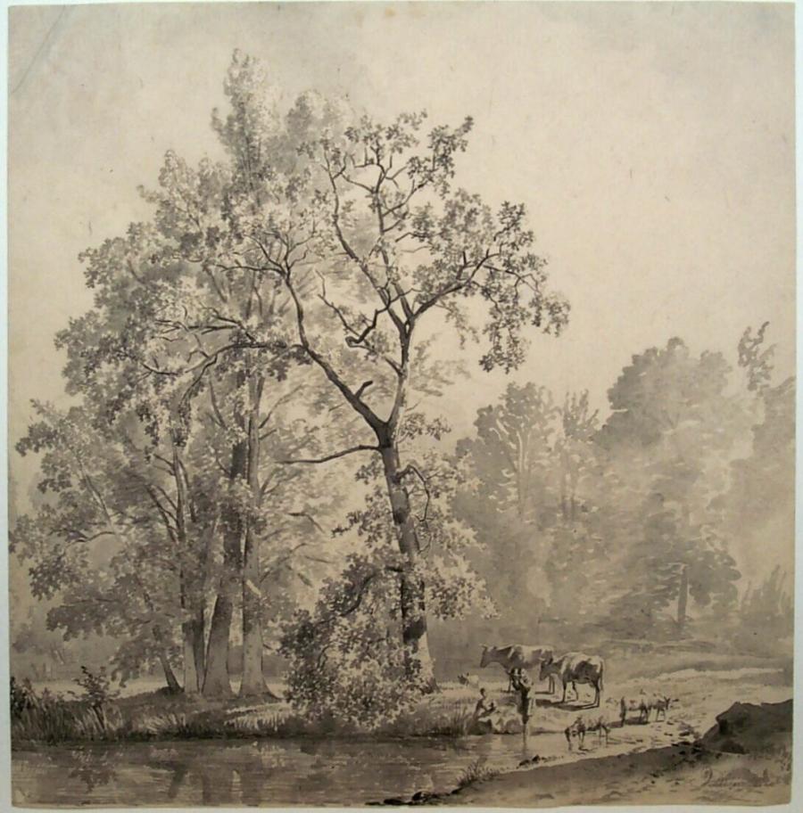 Meertje in een bos