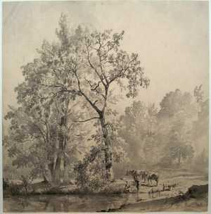 meertje-in-een-bos