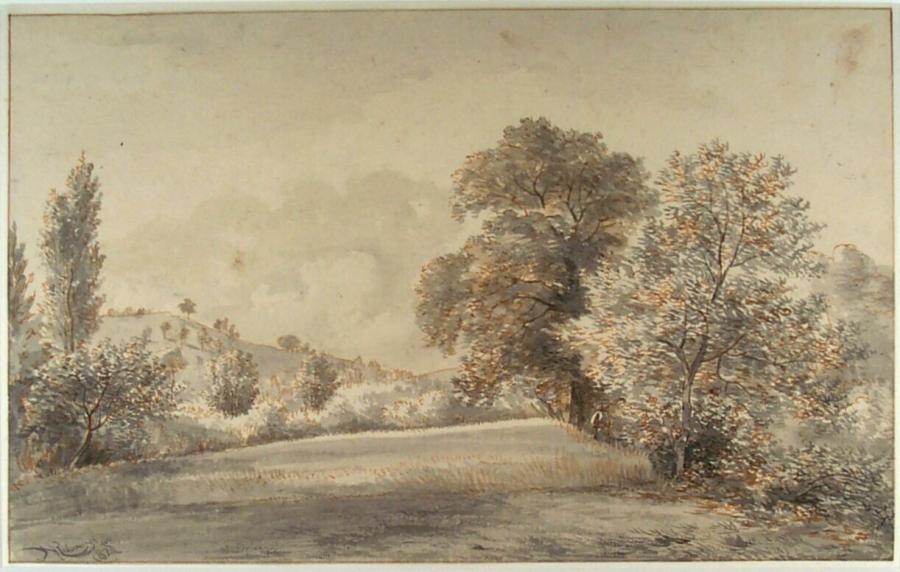 Heuvelachtig landschap te Beek bij Nijmegen (provincie Gelderland)