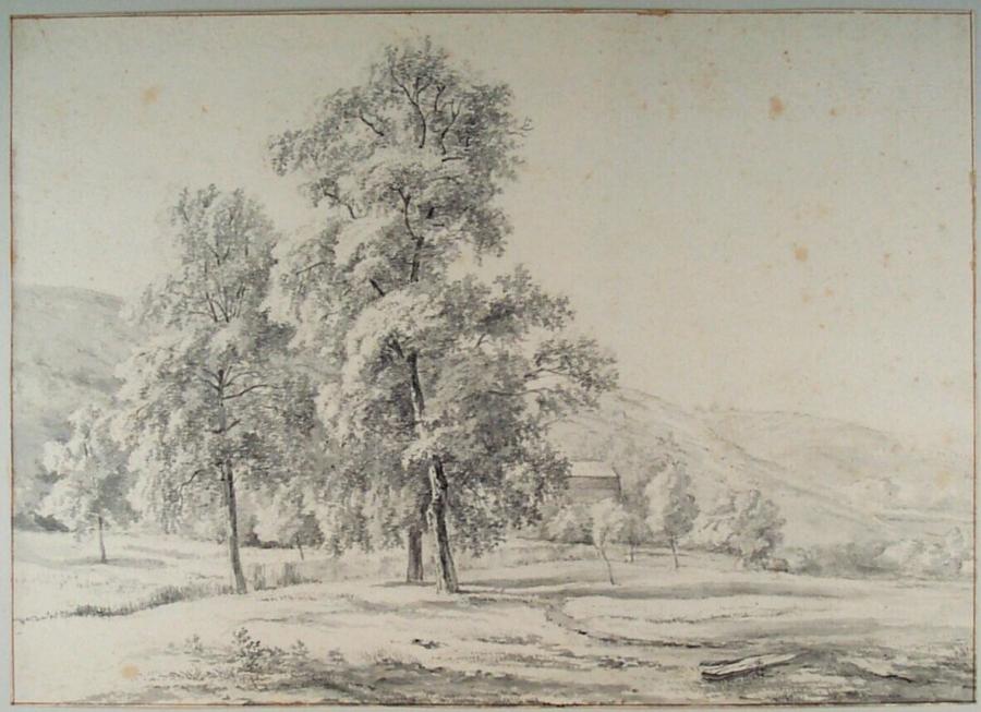 Hilly Landscape with Trres