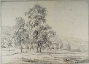 hilly-landscape-with-trres