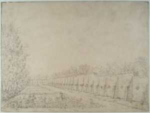 man-with-hat-in-park