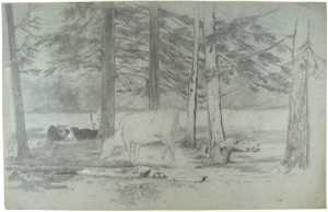 koeien-tussen-bomen