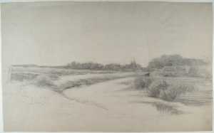 landschap