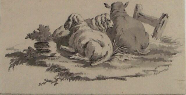Three Sheep Lying Down
