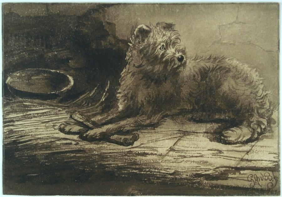 Reclining Dog with a Bone