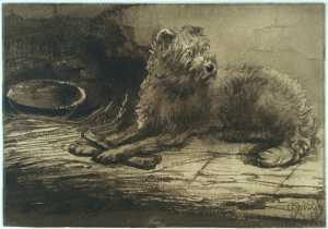 reclining-dog-with-a-bone