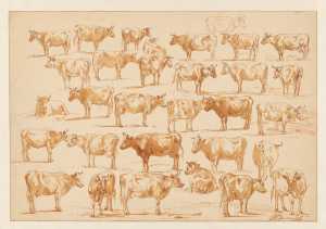studieblad-met-31-koeien