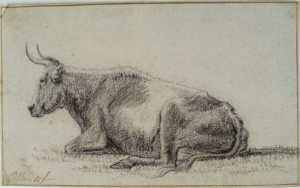 lying-cow-facing-left