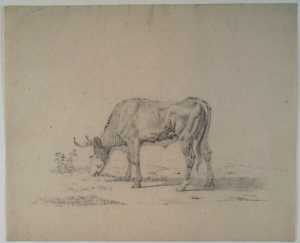 grazing-cow-facing-left