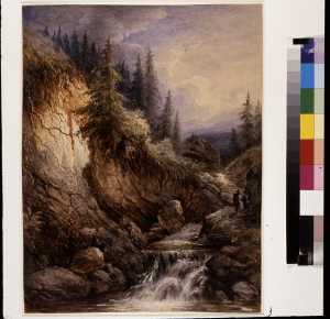 waterfall-in-a-pine-forest