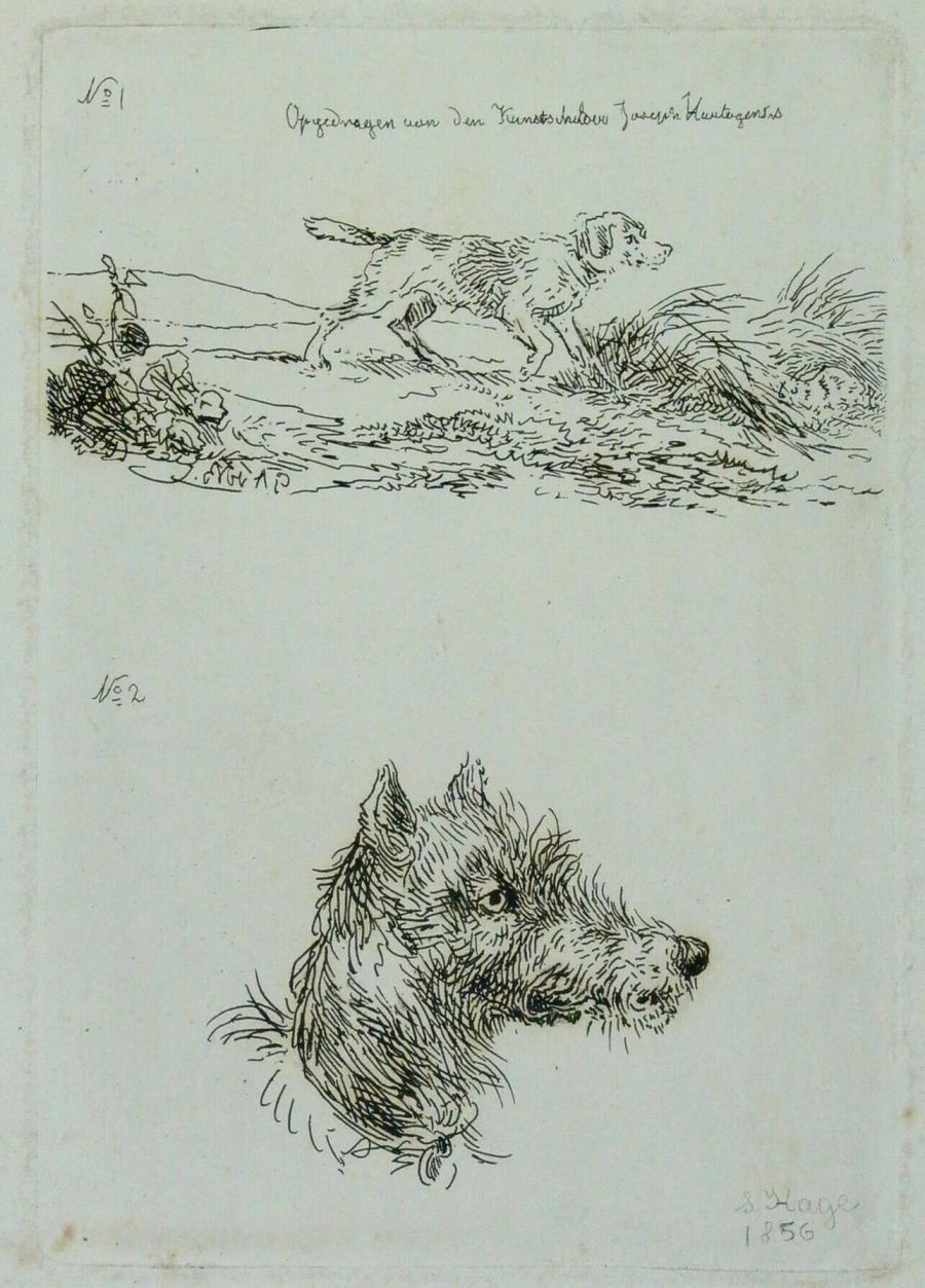 Two Dogs