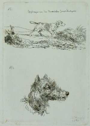 two-dogs