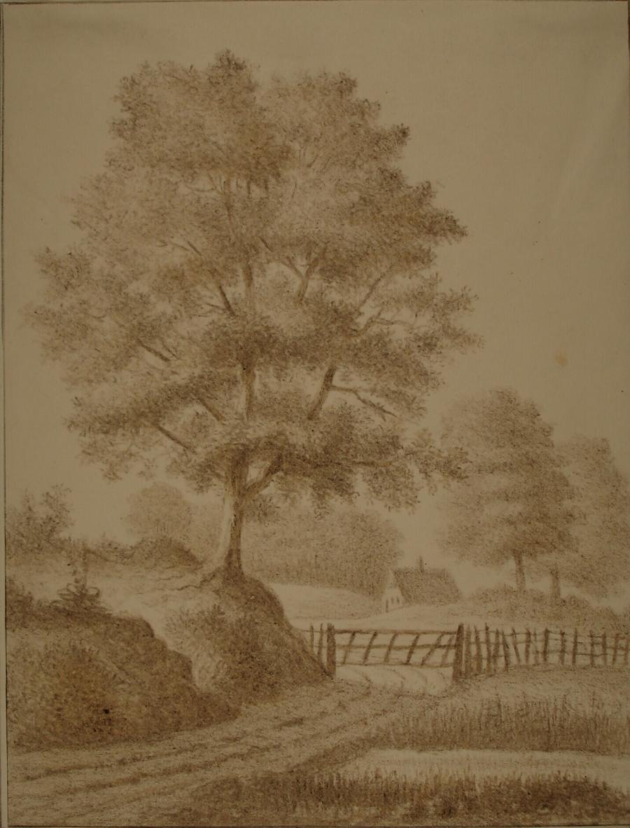 tekening