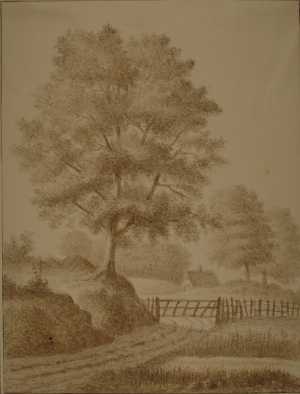 tekening