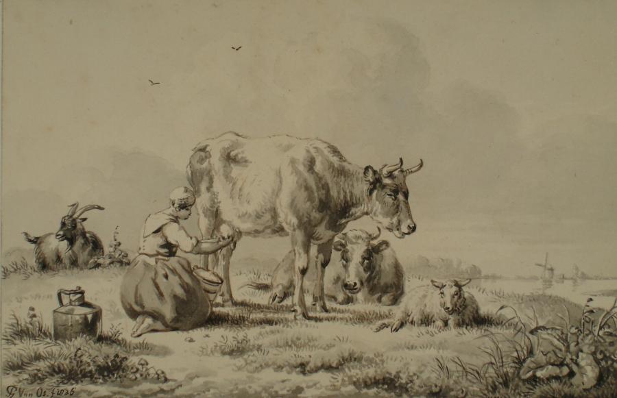 Milking Maid in a Pasture