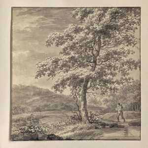 boslandschap-met-reiziger-op-een-bruggetje