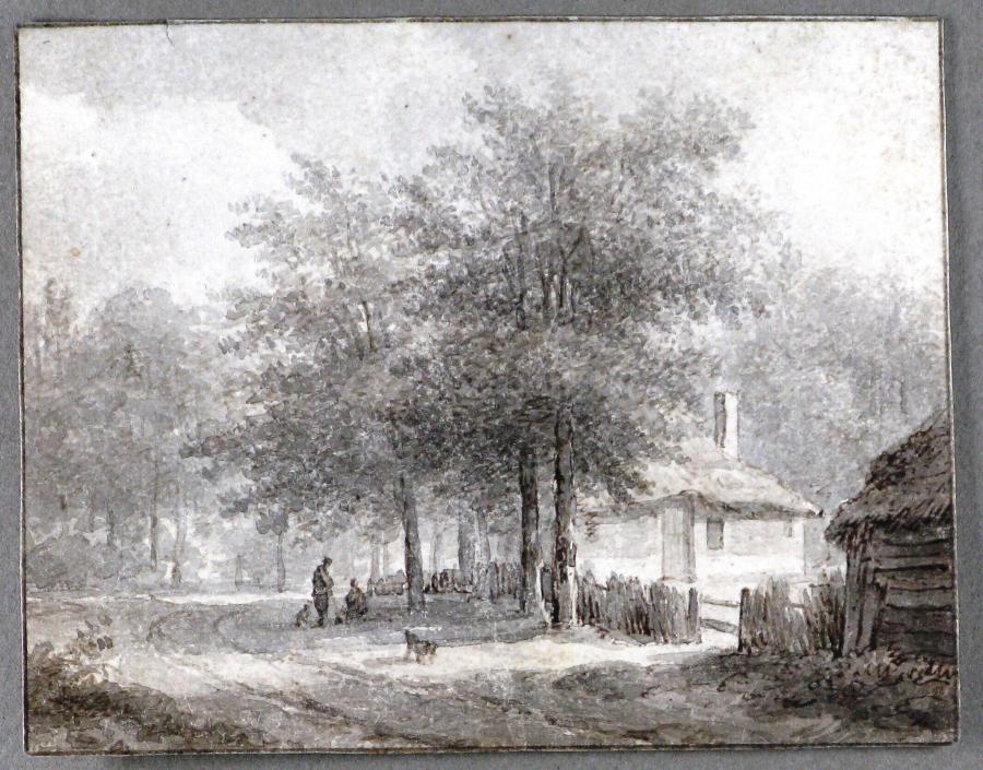 Wooded Country Road in a Village