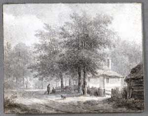 wooded-country-road-in-a-village