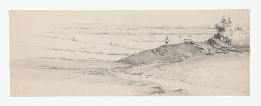 drawing