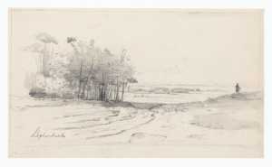 drawing