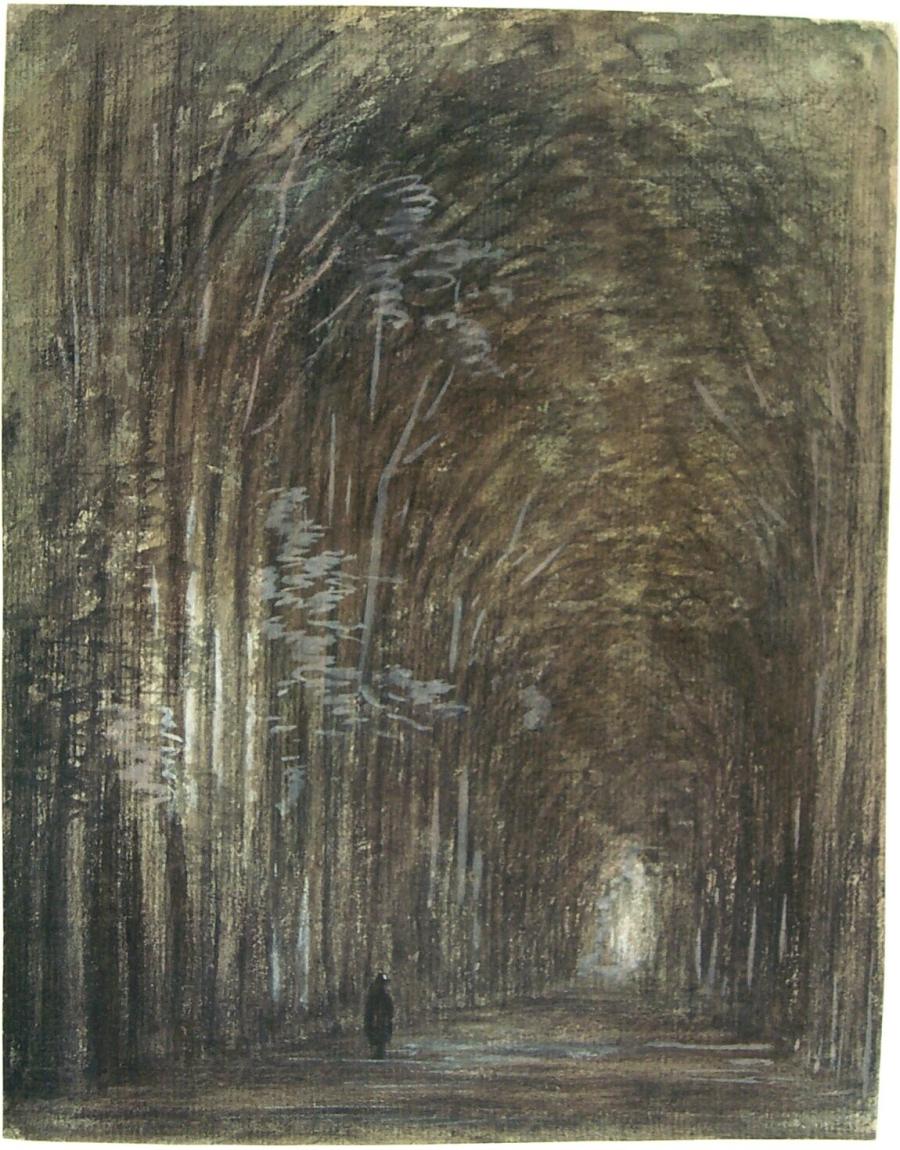 Het bos van de heer Huydecoper te Eemnes (provincie Utrecht)