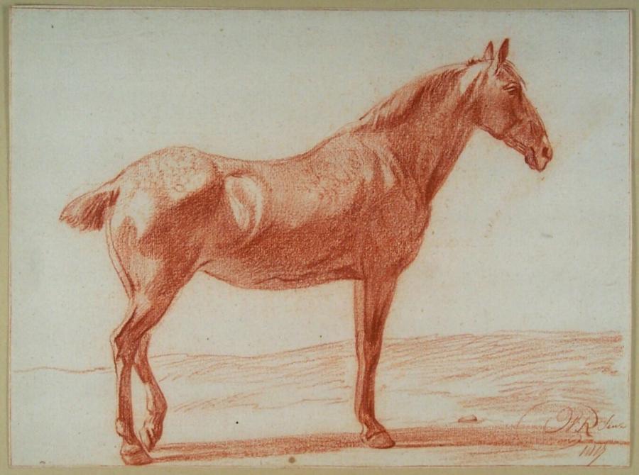 Staand paard, naar rechts gewend
