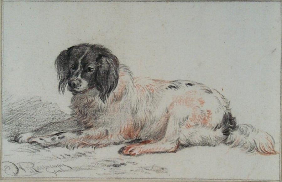 Liggende hond