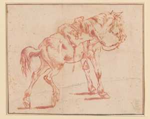a-standing-horse-seen-from-the-side