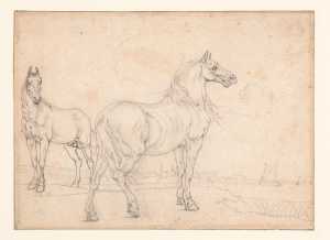 een-hinnikend-paard