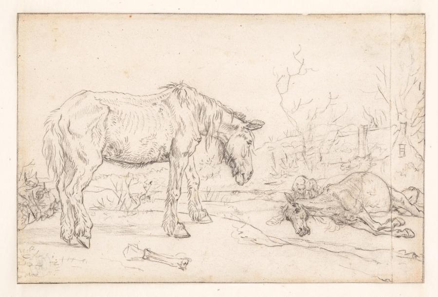 The Old Horse