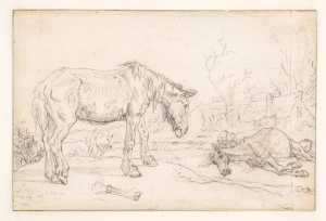 het-oude-paard
