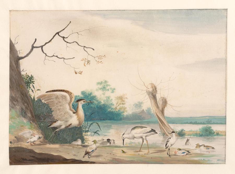 Landscape with Ducks and Waterbirds