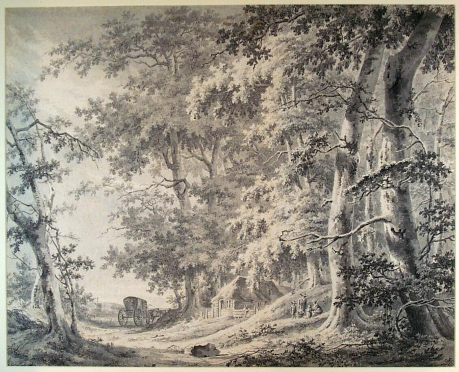 Coach on a Forest Road