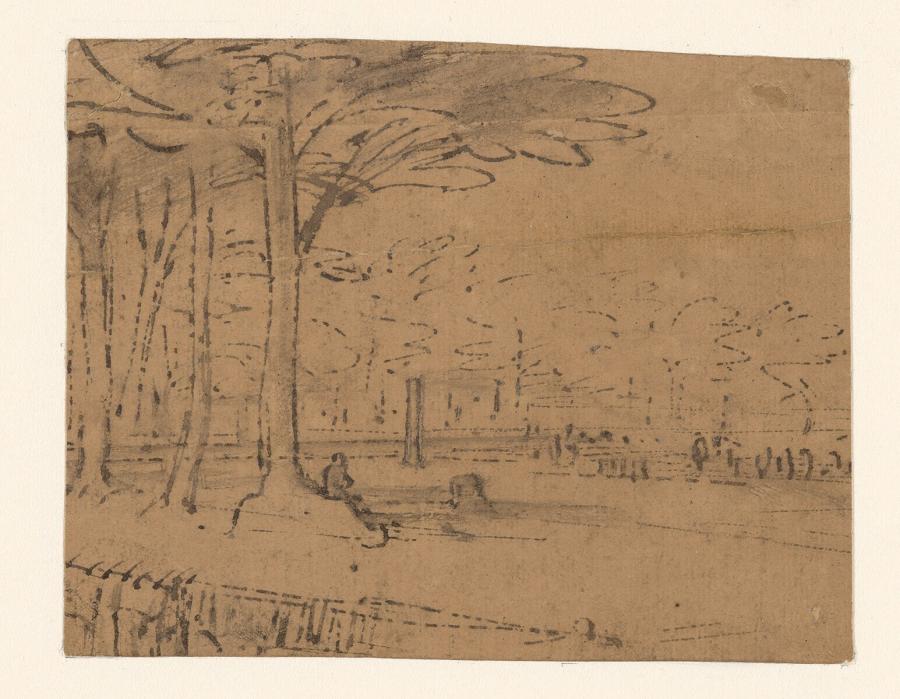 Landschap met hoge bomen