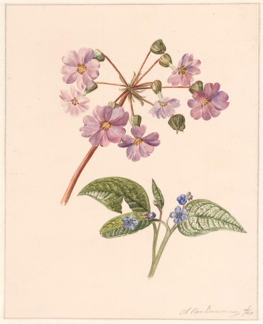 Twee bloemtakjes