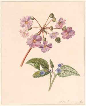twee-bloemtakjes