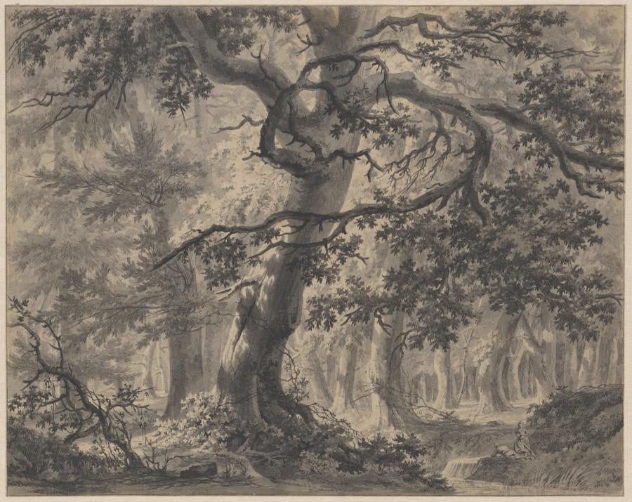 Bosgezicht met hoge bomen en figuren bij een beek