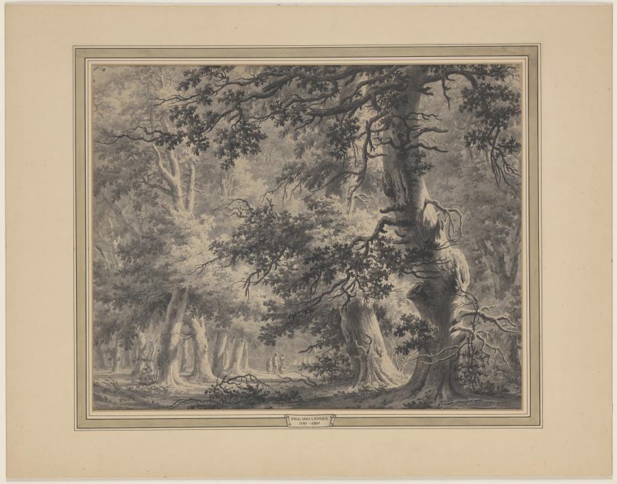 Bosgezicht met hoge bomen en figuren op een pad