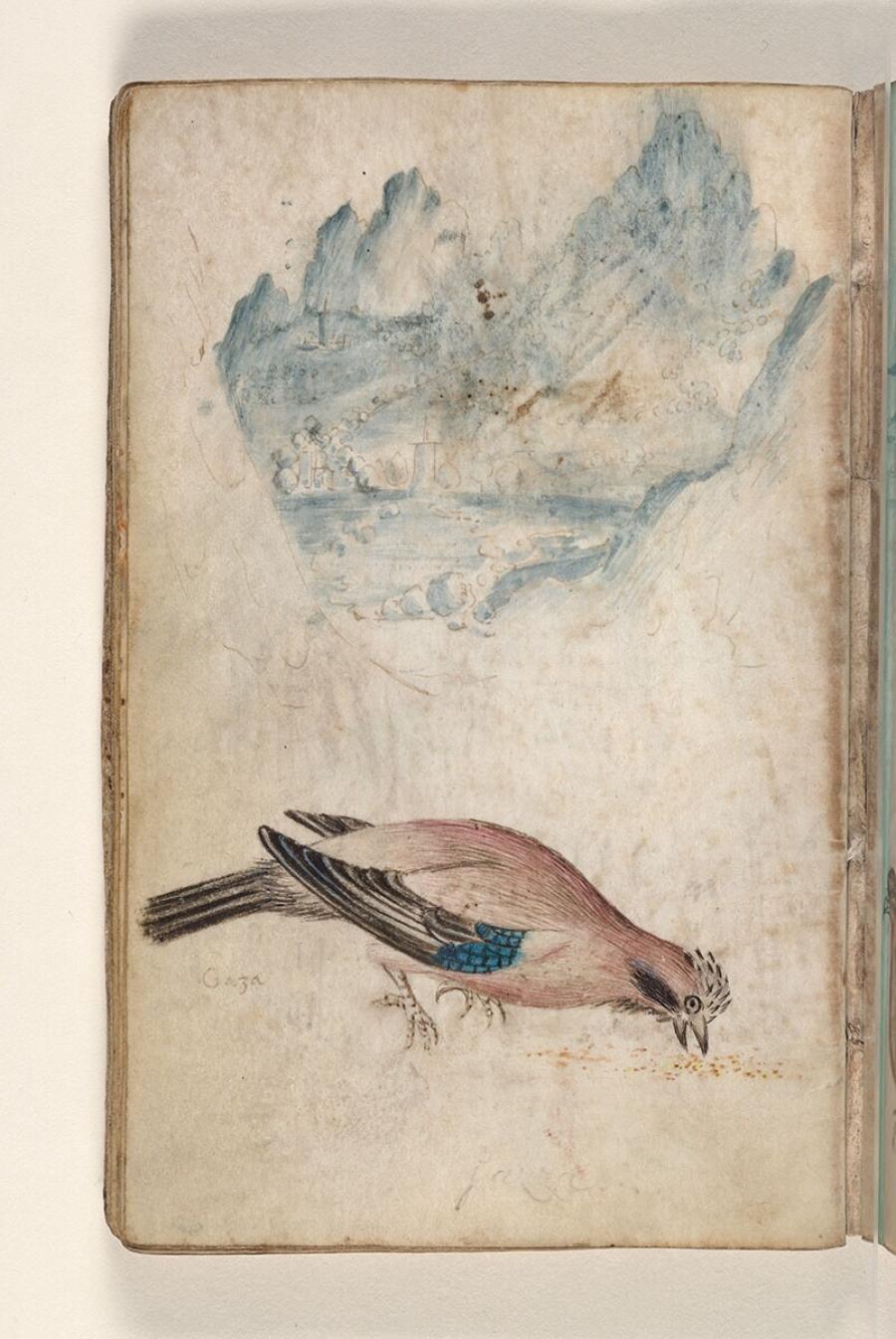 Folio uit een tekeningenboek: rotsachtig landschap met gebouwen en een beek, gaai (garrulus glandarius)