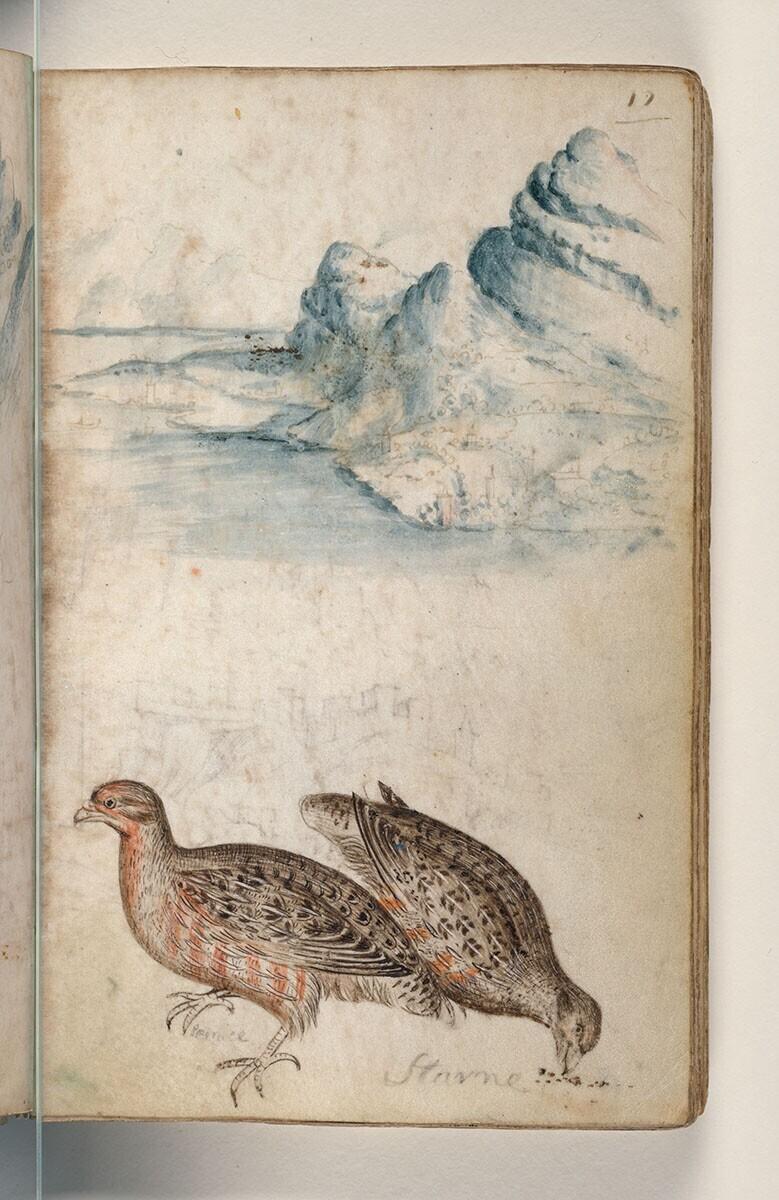 Folio uit een tekeningenboek: rotsachtig kustlandschap met gebouwen aan het water, patrijzen (perdix perdix)