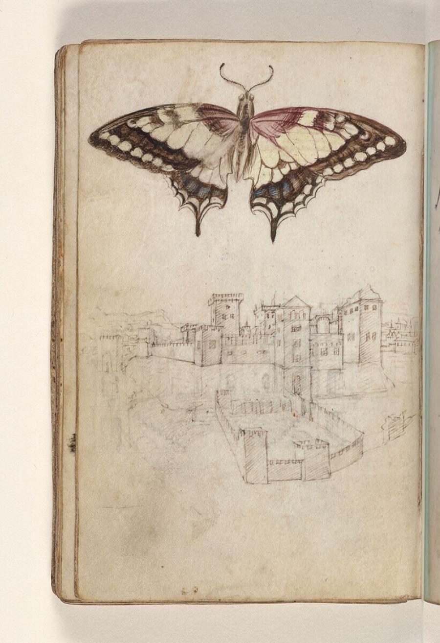 Folio uit een tekeningenboek: koninginnenpage (papilio machaon), ommuurde stad op een helling