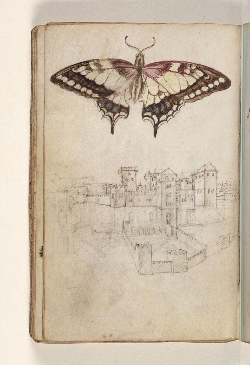 Folio uit een tekeningenboek: koninginnenpage (papilio machaon), ommuurde stad op een helling