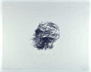 names-coronal-sections-of-the-head