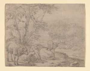 landschap-met-schapen