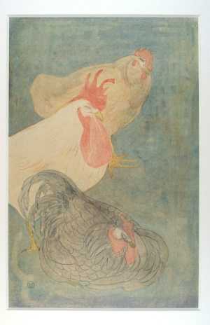 bankivahoen-gallus-gallus-een-haan-en-twee-kippen