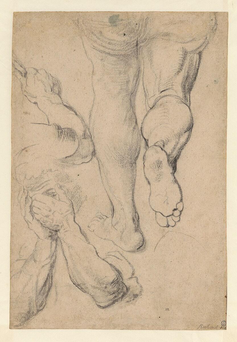 Studies of Arms and Legs